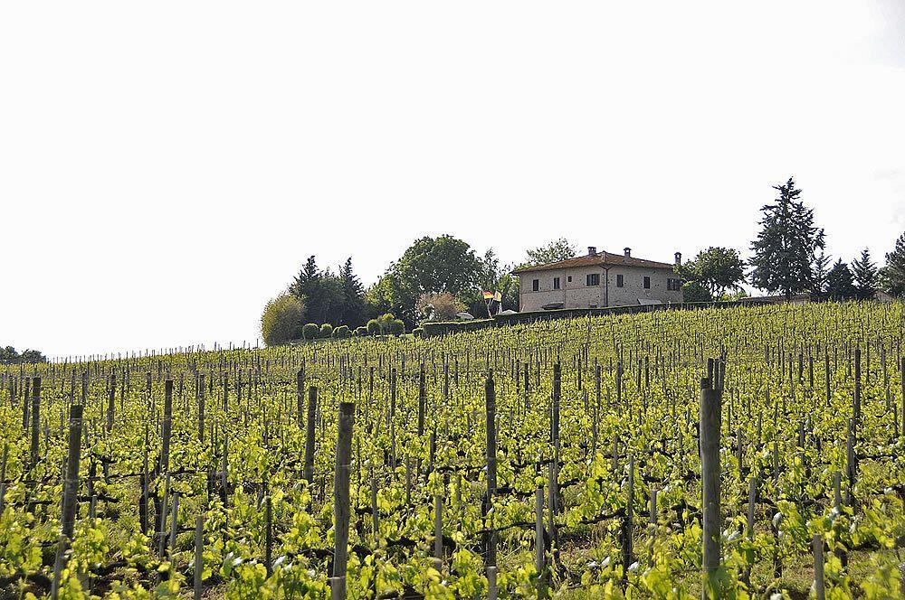 Isola d'Arbia Il Colombaio, Siena -Appartamenti E Camere- מראה חיצוני תמונה