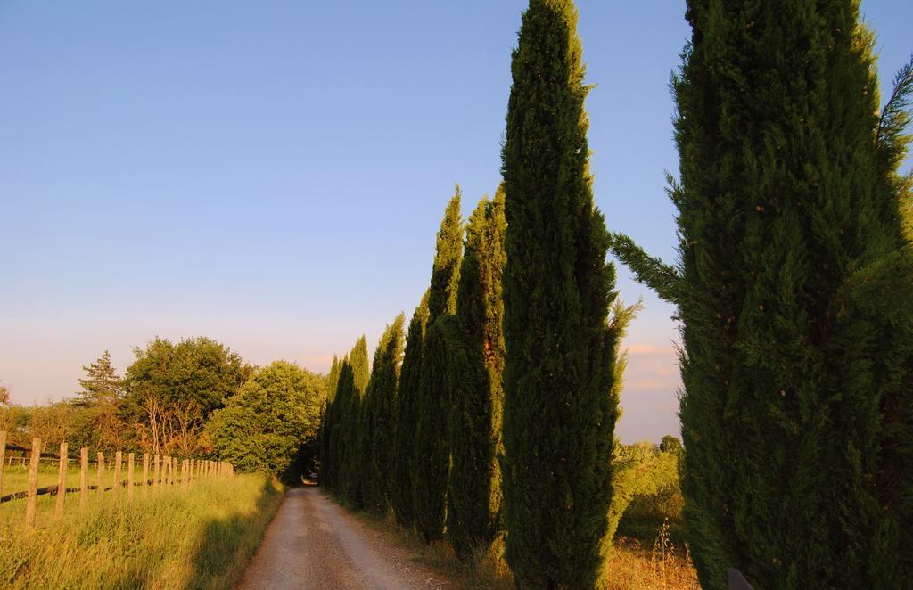 Isola d'Arbia Il Colombaio, Siena -Appartamenti E Camere- מראה חיצוני תמונה