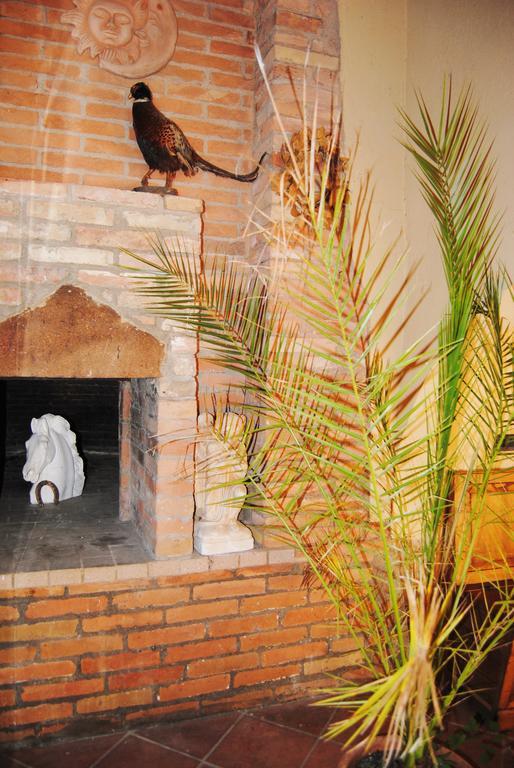 Isola d'Arbia Il Colombaio, Siena -Appartamenti E Camere- מראה חיצוני תמונה
