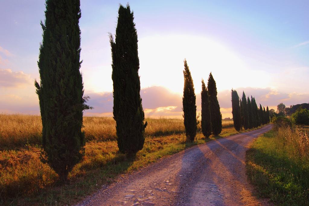 Isola d'Arbia Il Colombaio, Siena -Appartamenti E Camere- מראה חיצוני תמונה